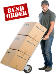 Rush Order- Multiple Packages Pickup & Delivery
